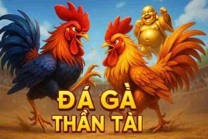Đá Gà Thần Tài 3WIN – Trận đấu gay cấn, phần thưởng cực lớn